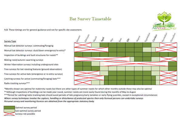 Bat Survey Timetable